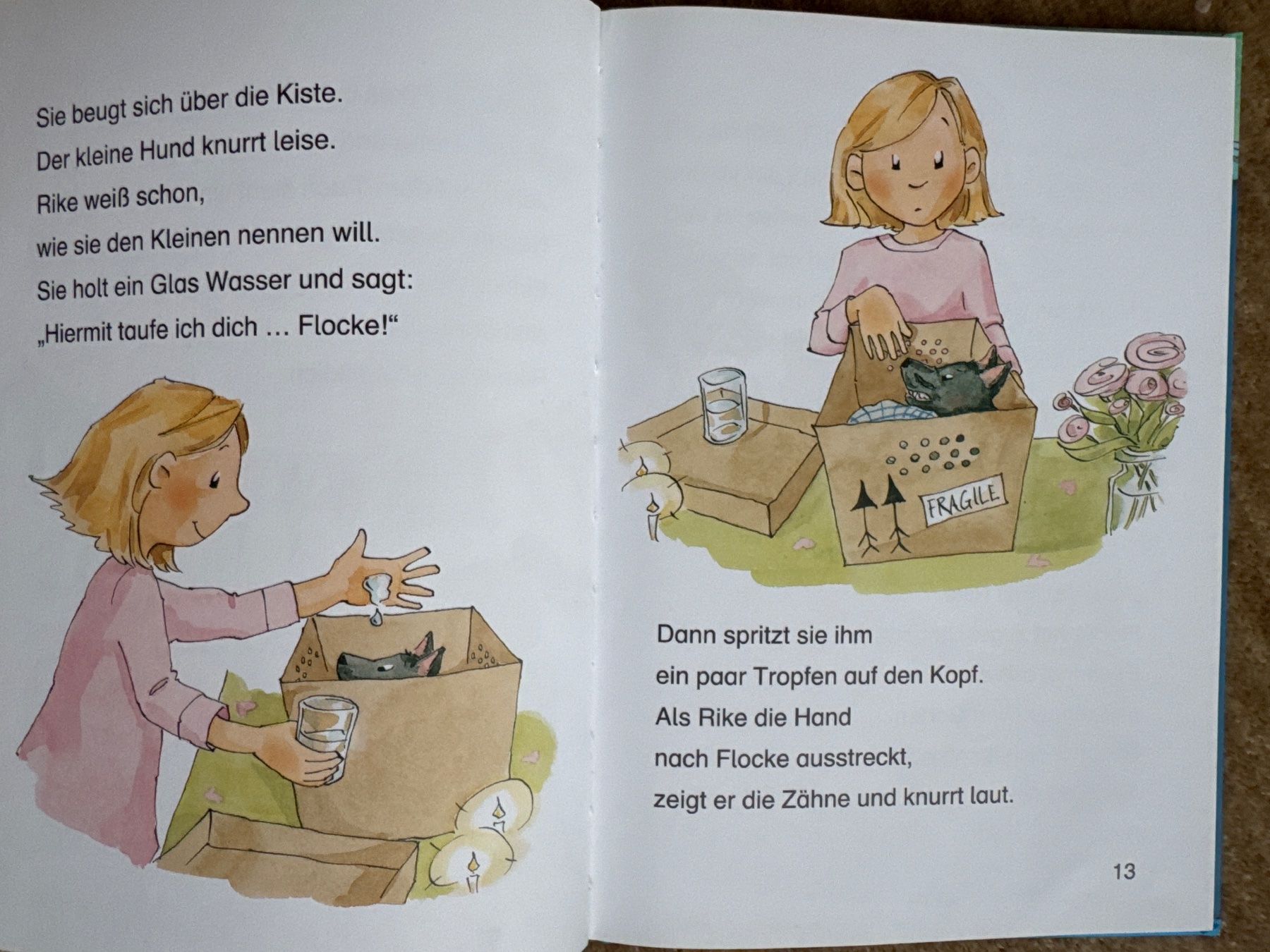Bücher: Leselöwen - Mädchengeschichten – Gebraucht aus Aarau von Kilauea 2