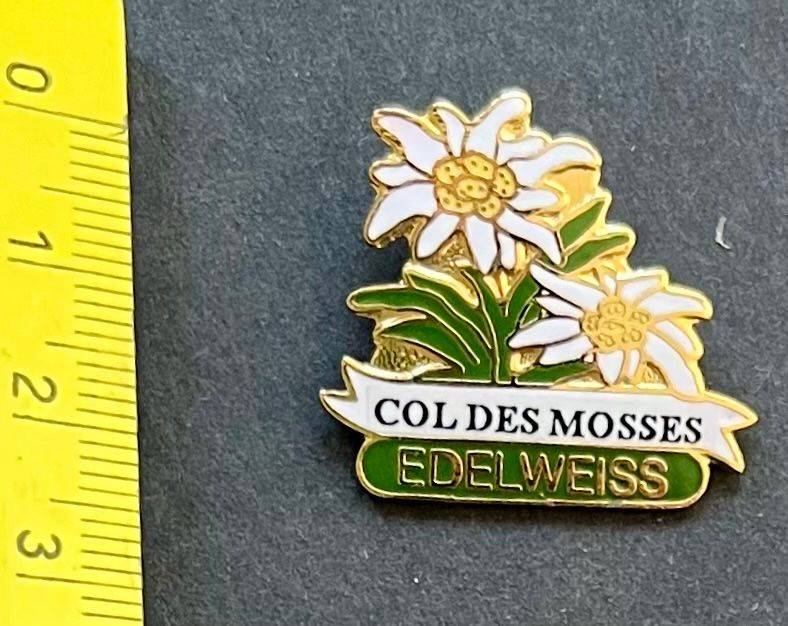 Edelweiss Placchette & Badge: COL DES MOSSES/  EDELWEISS, pin – Usato da Ostermundigen venduto da DaxKarten-75
