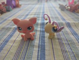 littlest pet shop Schwein und Schmetterling 2006