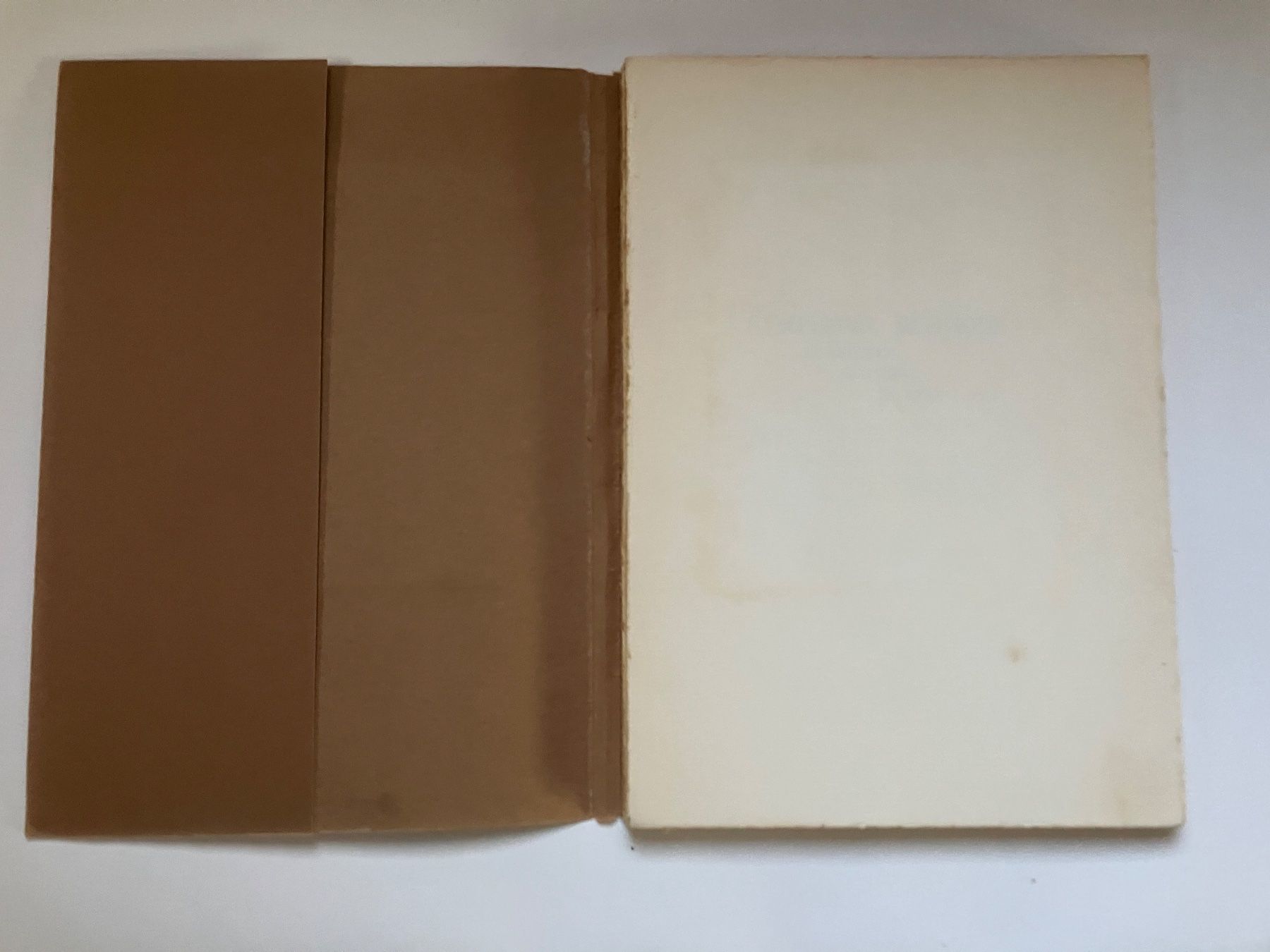 Libri: Albert Schmidt Symphonie Rustiqe – Usato da ZUERICH venduto da Carolus1 1
