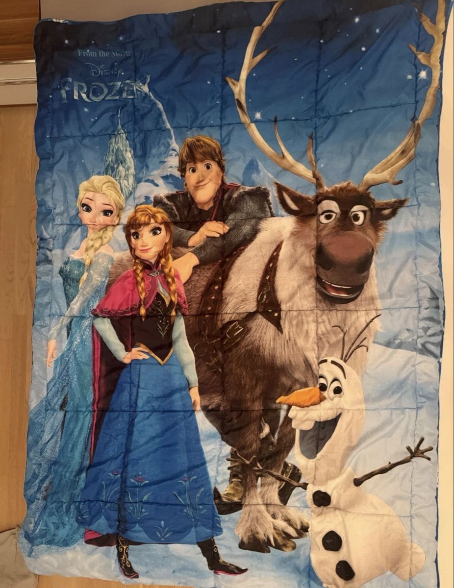 Couvertures: Frozen Eiskönigin Tagesdecke 140 x 200 cm – D'occasion à Hüttikon par Mellie422