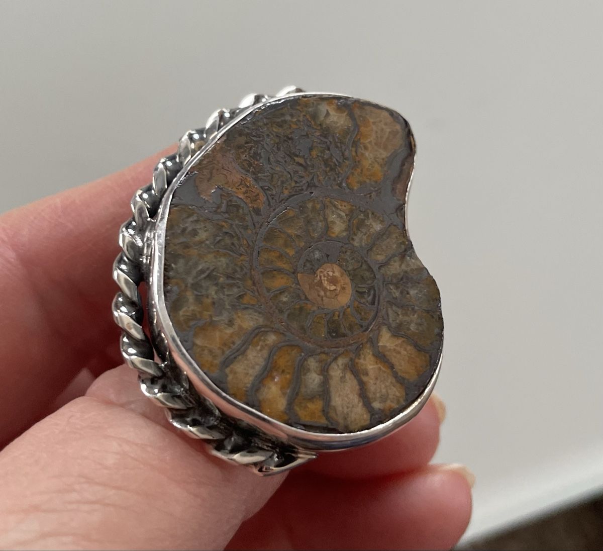 Anelli: Silber-Ring, Ammonit Fossil, Unikat – Nuovo e nell'imballaggio originale da Ebikon venduto da elischka 3