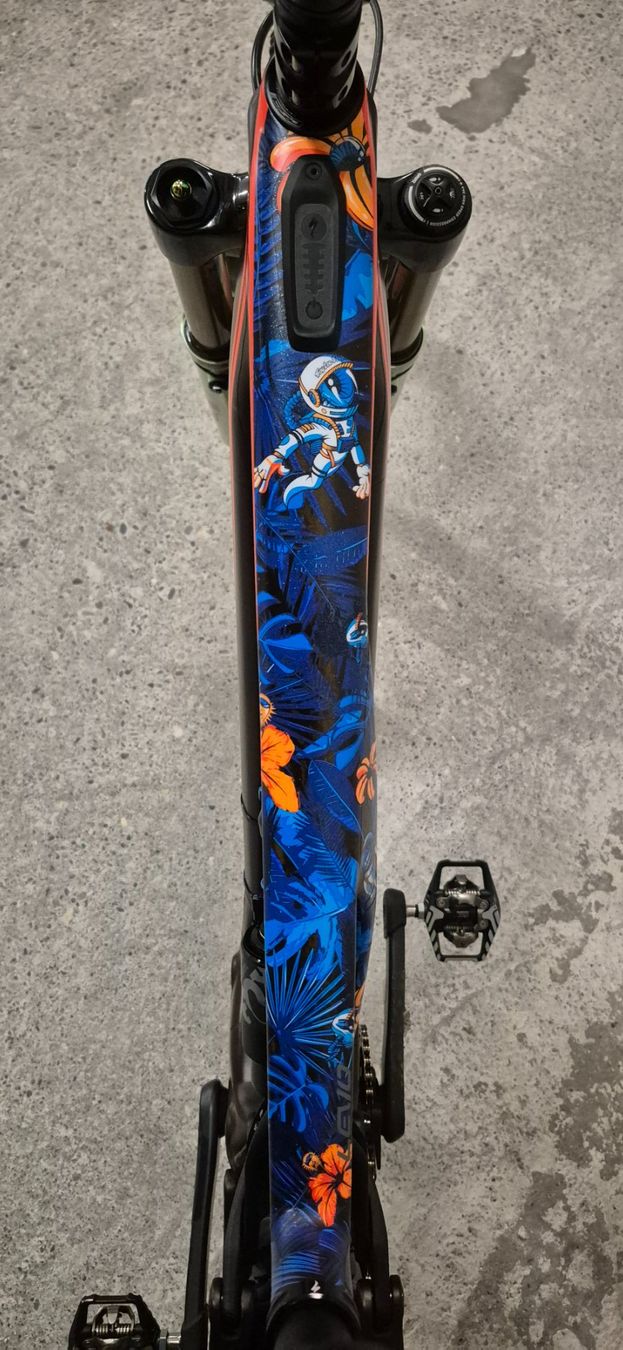 Specialized Biciclette: SPECIALIZED S-WORKS Turbo Levo TroyLee Designs 2021, Gr M – Nuovo (secondo la descrizione) da Dornach venduto da Signs0 6