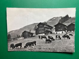 Chalet "Som-la-Chaze" - La Sage