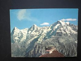 AK 1979 Schilthorn spez. Stempel  gelaufen (G3586)