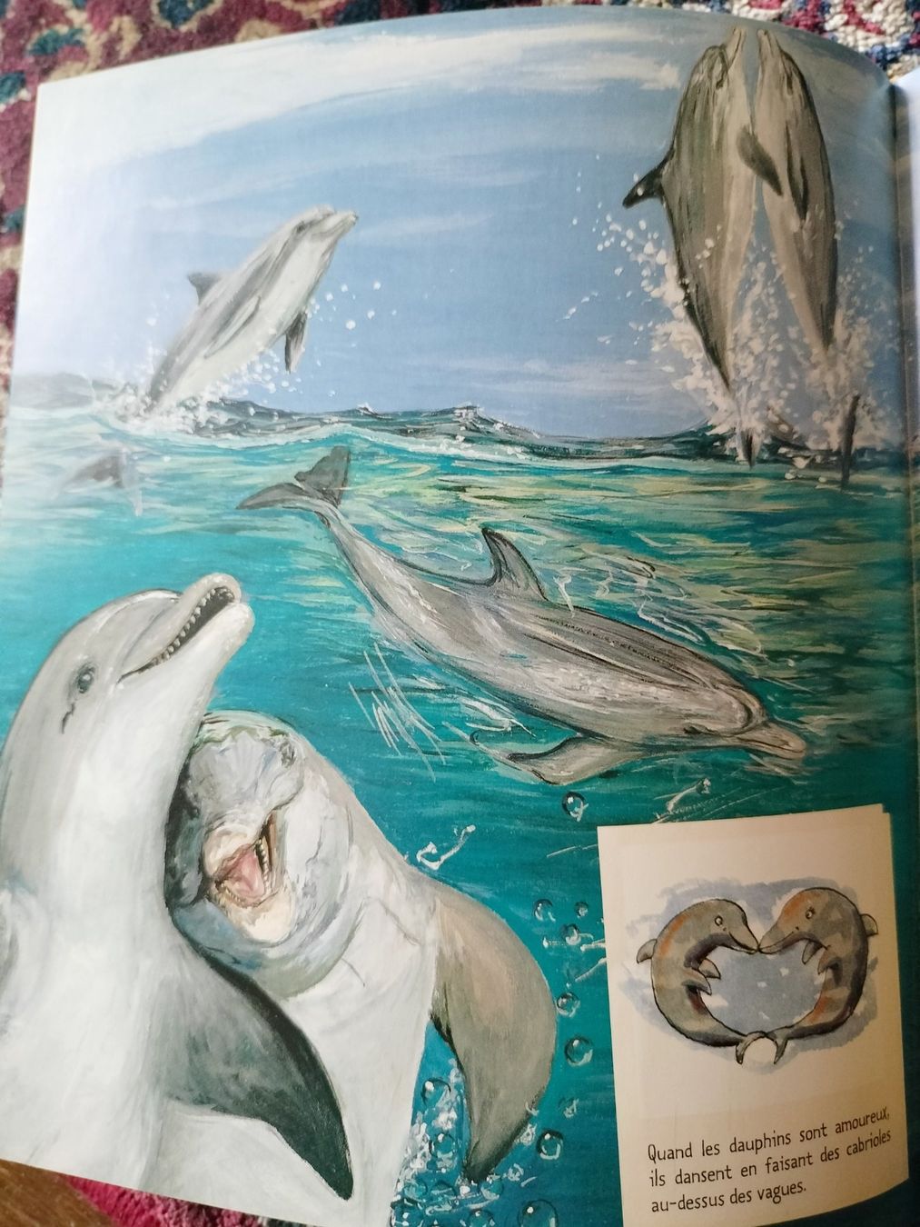 Libri: Le Dauphin Mymi Doinet Nathan – Usato da Cortaillod venduto da rozinna 6