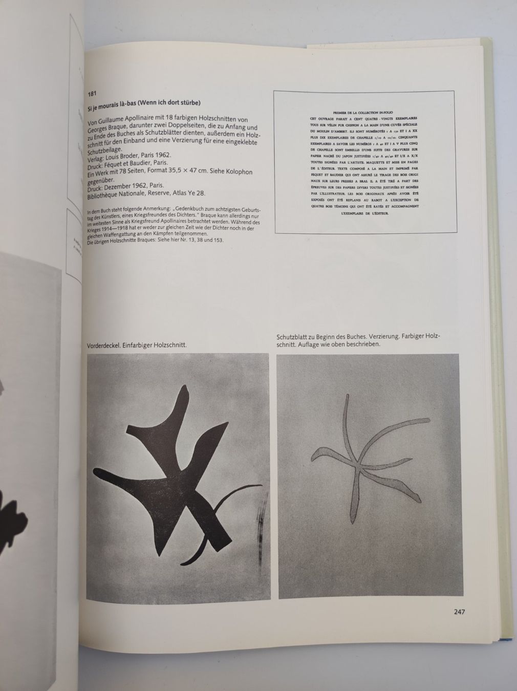 Libri: BRAQUE WERKVERZEICHNIS – Usato da Goldach venduto da Gaip 9
