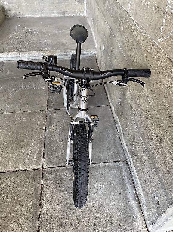 Early Rider Biciclette: EARLY RIDER 16" – Usato da Minusio venduto da car_7xsd 1