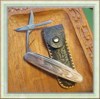 Taschenmesser mit 2 Messern + Schere 8 cm lang + LederEtui