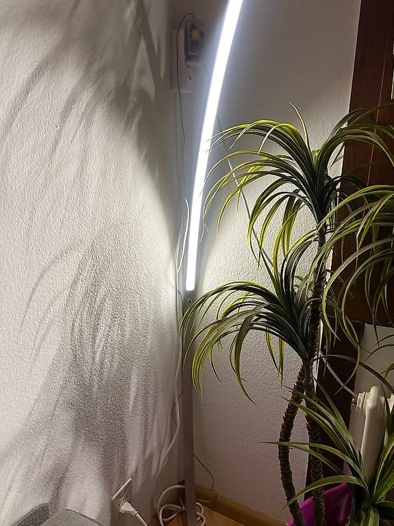 Lampade: Pflanze und steh lampe – Usato da Möhlin venduto da shq_9yb5 2
