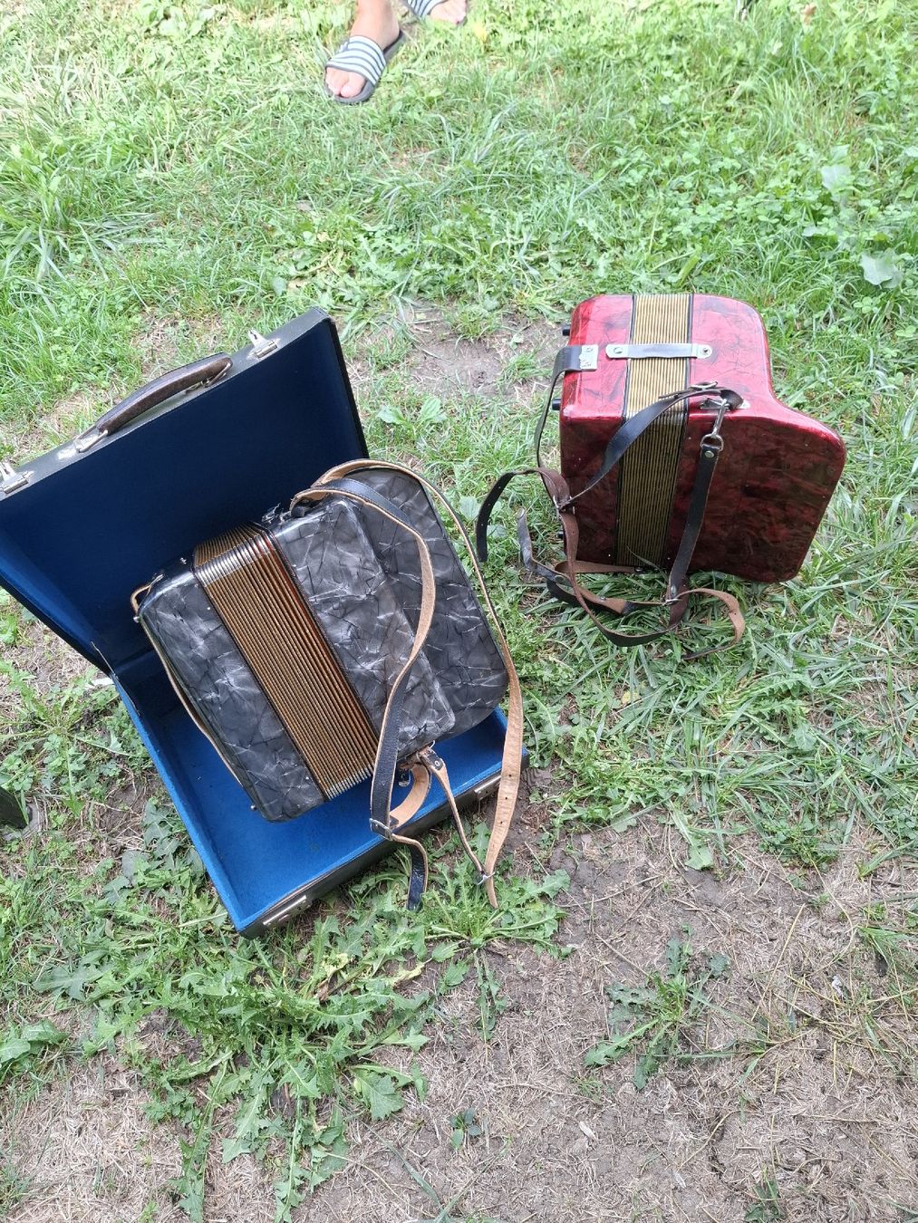 Hohner Strumenti musicali: 2 orgeli diatonish – Usato da Villeneuve venduto da BibiVintage 4