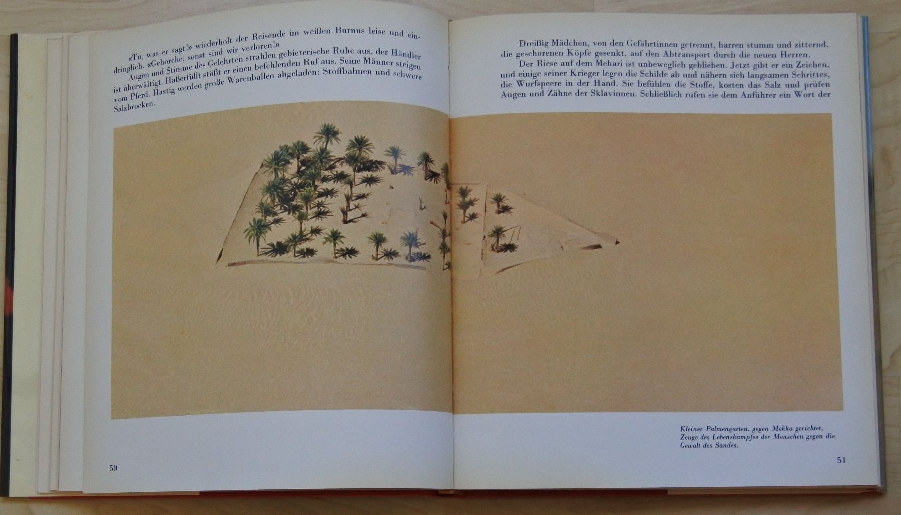 Libri: TUAREG Nomaden der Sahara – Usato da Bäch SZ venduto da Parog 2