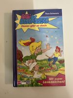Buch Bibi Blocksberg Hexen gibt es doch Schneider Buch