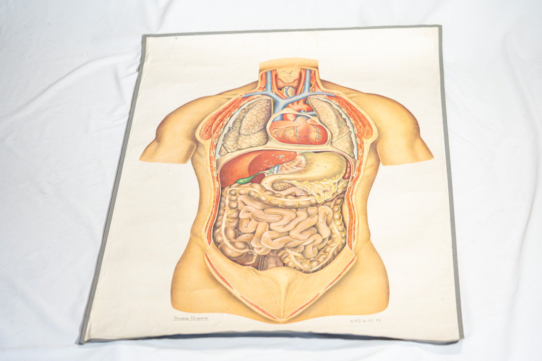 Poster & Bilder: Plakat / Poster / Rolltafel – Gebraucht aus Bern von Shutter-Palace