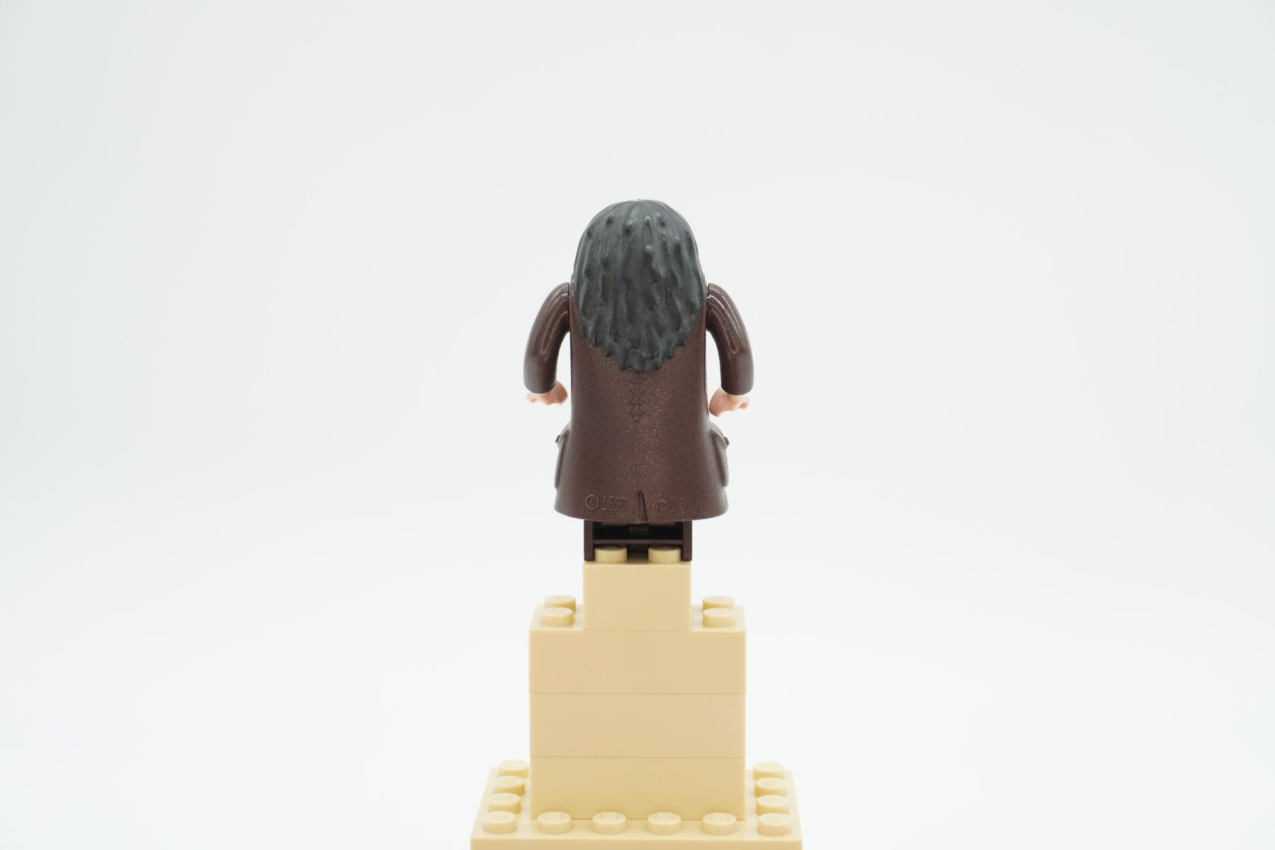 Lego Spielzeuge: Lego Harry Potter Rubeus Hagrid Bundle – Gebraucht aus Zürich von PWGrZ 2