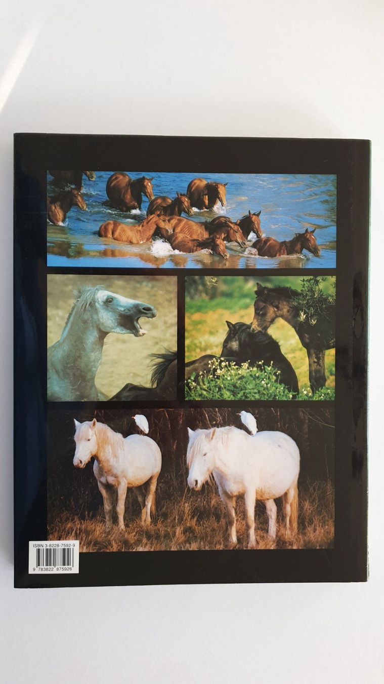Libri: Pferdebücher – Usato da Goldach venduto da armando_r 4