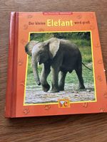 Kinderbuch Der kleine Elefant wird gross Ellermann
