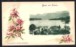 Litho Luzern, Panorama mit Hotel, Blüte