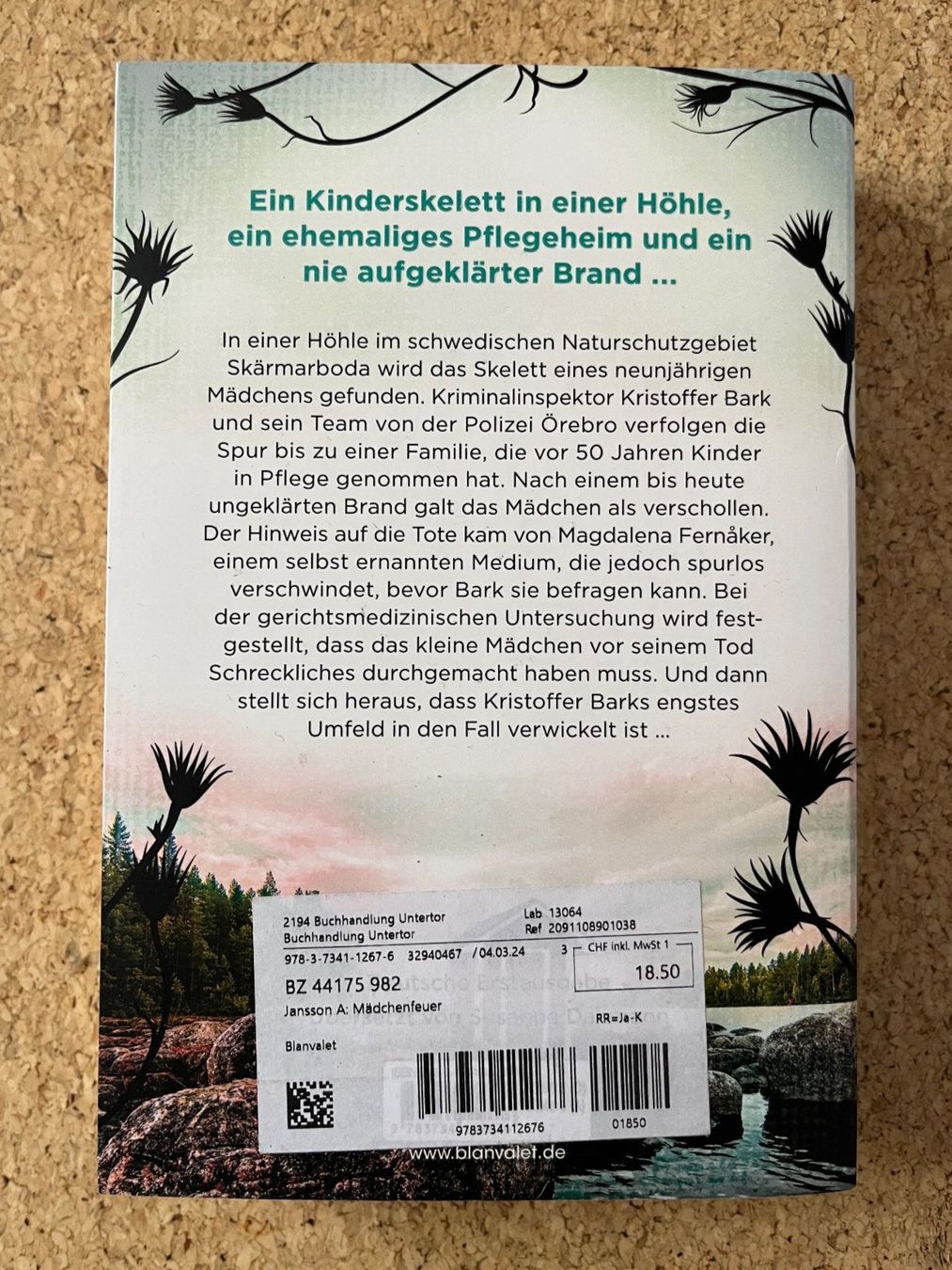 Libri: Taschenbuch "Mädchenfeuer", Anna Jansson – Usato da Grosswangen venduto da Vita500 1