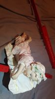 Yolanda Bello minipuppe jennifer L1