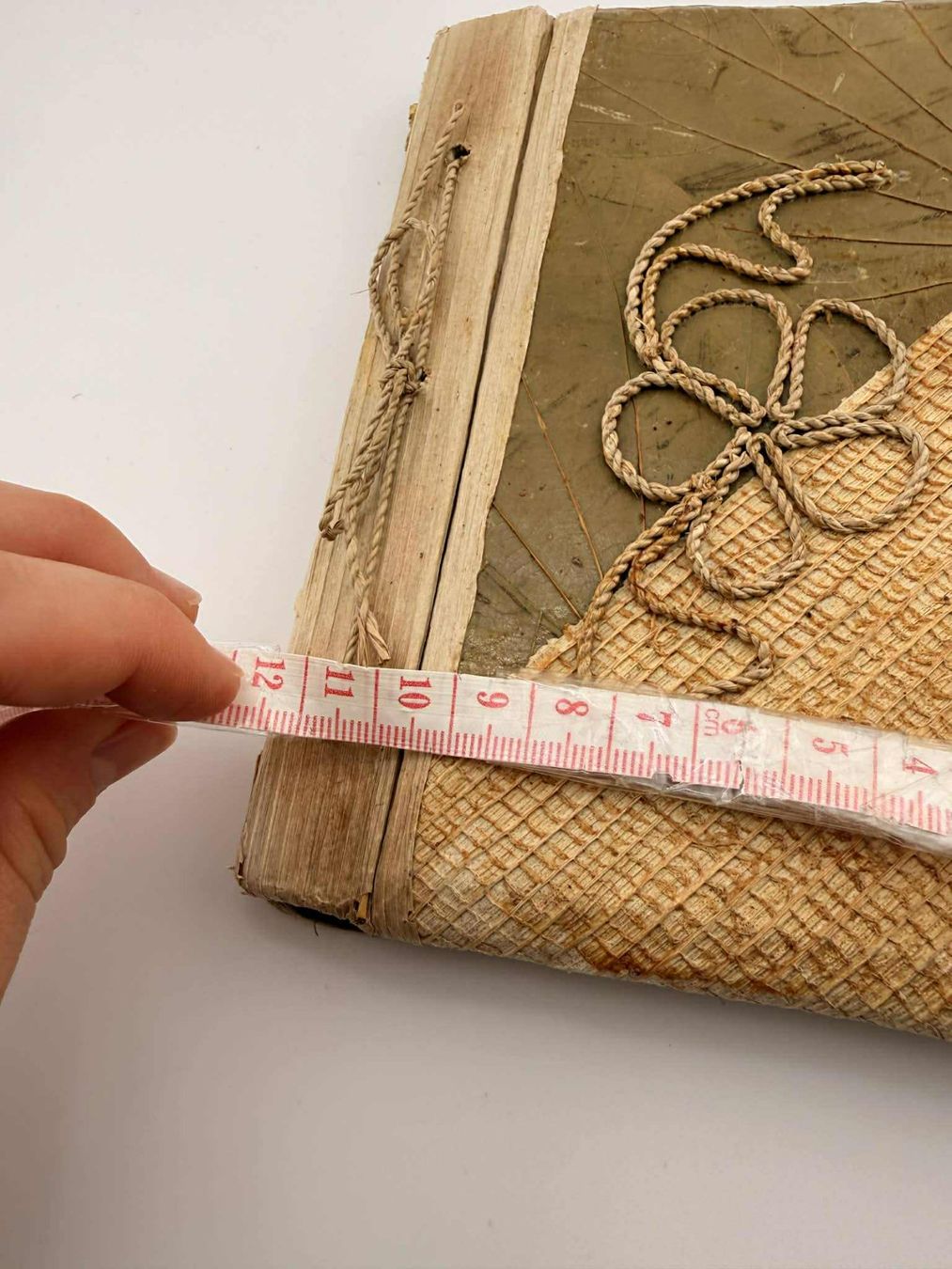 Bücher: Vintage Pflanzen-Dekor✅ – Neu (gemäss Beschreibung) aus Riehen von edu_92w7 1