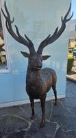 Chevreuil en Bronze (en stock)