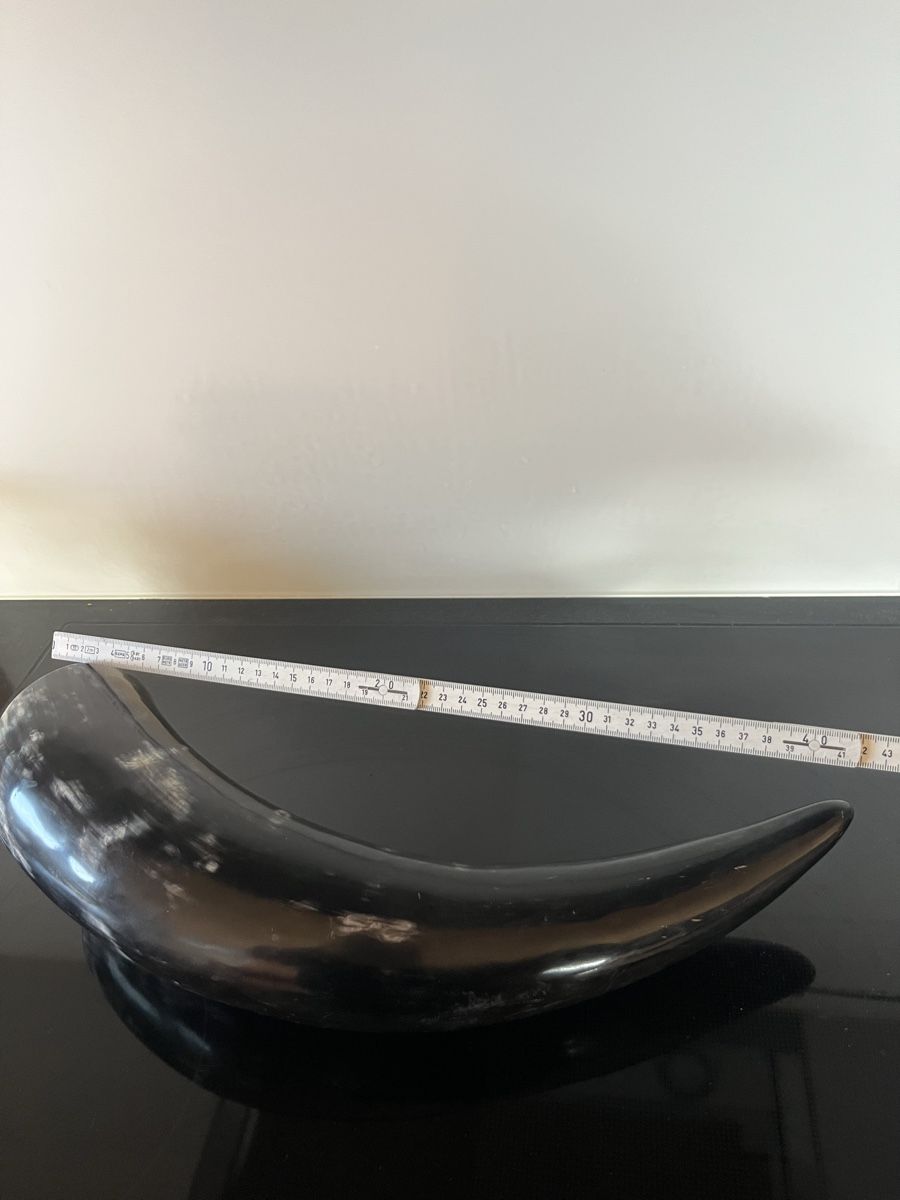 Tutte le decorazioni: Grosses Horn Deko 43cm – Nuovo (secondo la descrizione) da Saanen venduto da SoniaMichaela 3