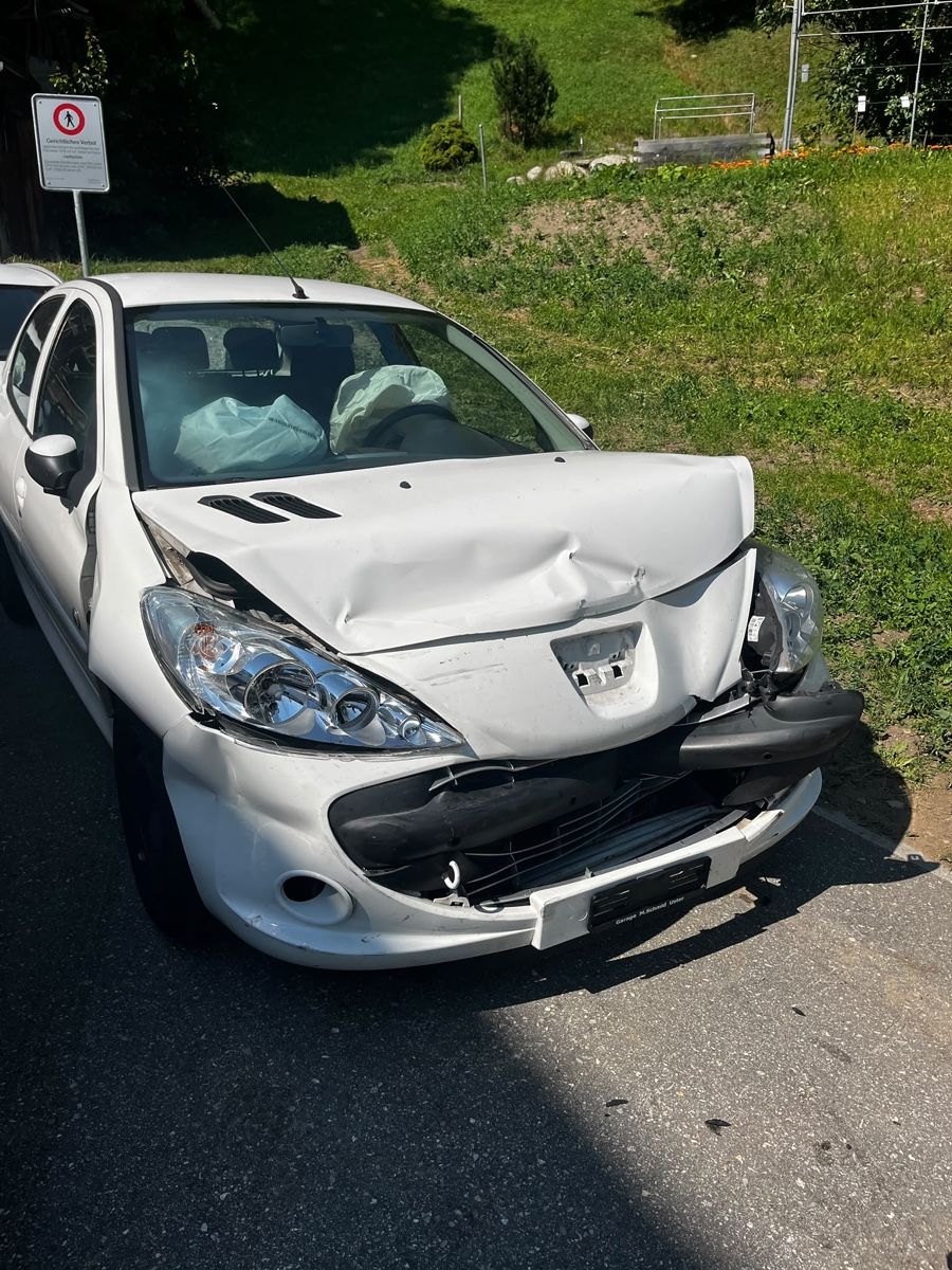 Peugeot Automobili: Peugeot 206 Unfallwagen – Difettoso da Uster venduto da Fooba