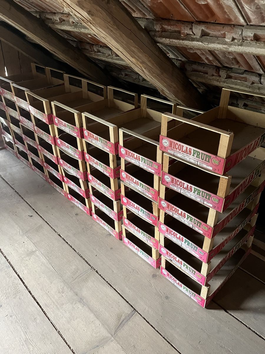 Articles en bois: Holzkisten 50x30cm – D'occasion à Escholzmatt par Stern777