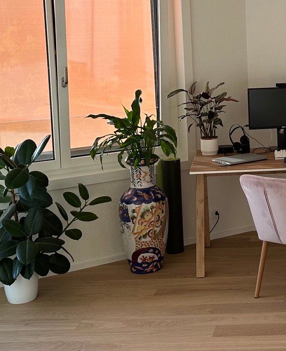 Vasi & Recipienti: Chinesische Vase – Usato da Zürich venduto da thw_bp9v
