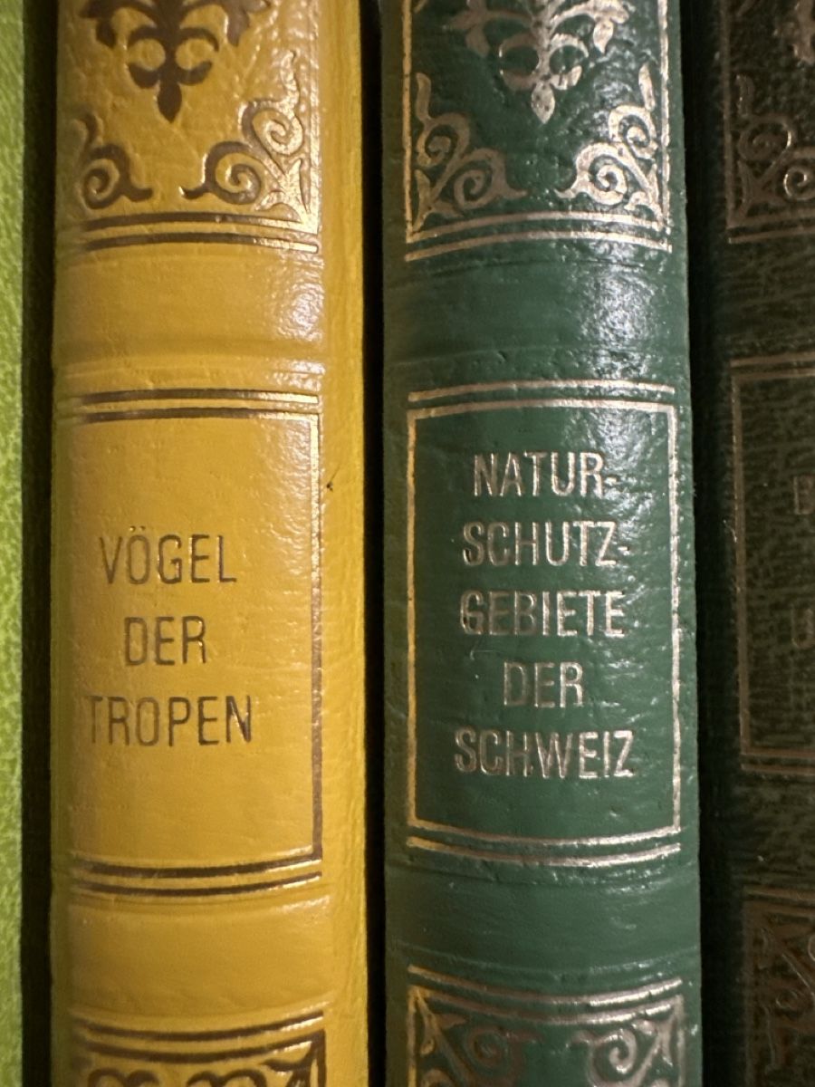 Libri: Avantibücher 10 Stück  – Usato da Baltschieder venduto da YmroBe 3