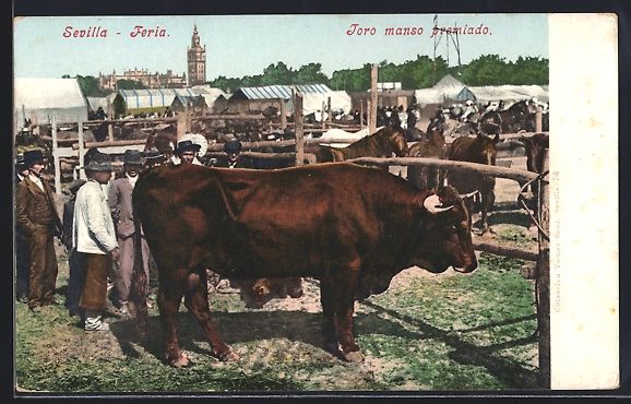 Cartoline postali: AK Sevilla-Feria, Toro manso premiado – Usato da Berlin venduto da bartko-reher