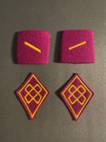 2 Patten/Achselschlaufen + 2 Kragenspiegel