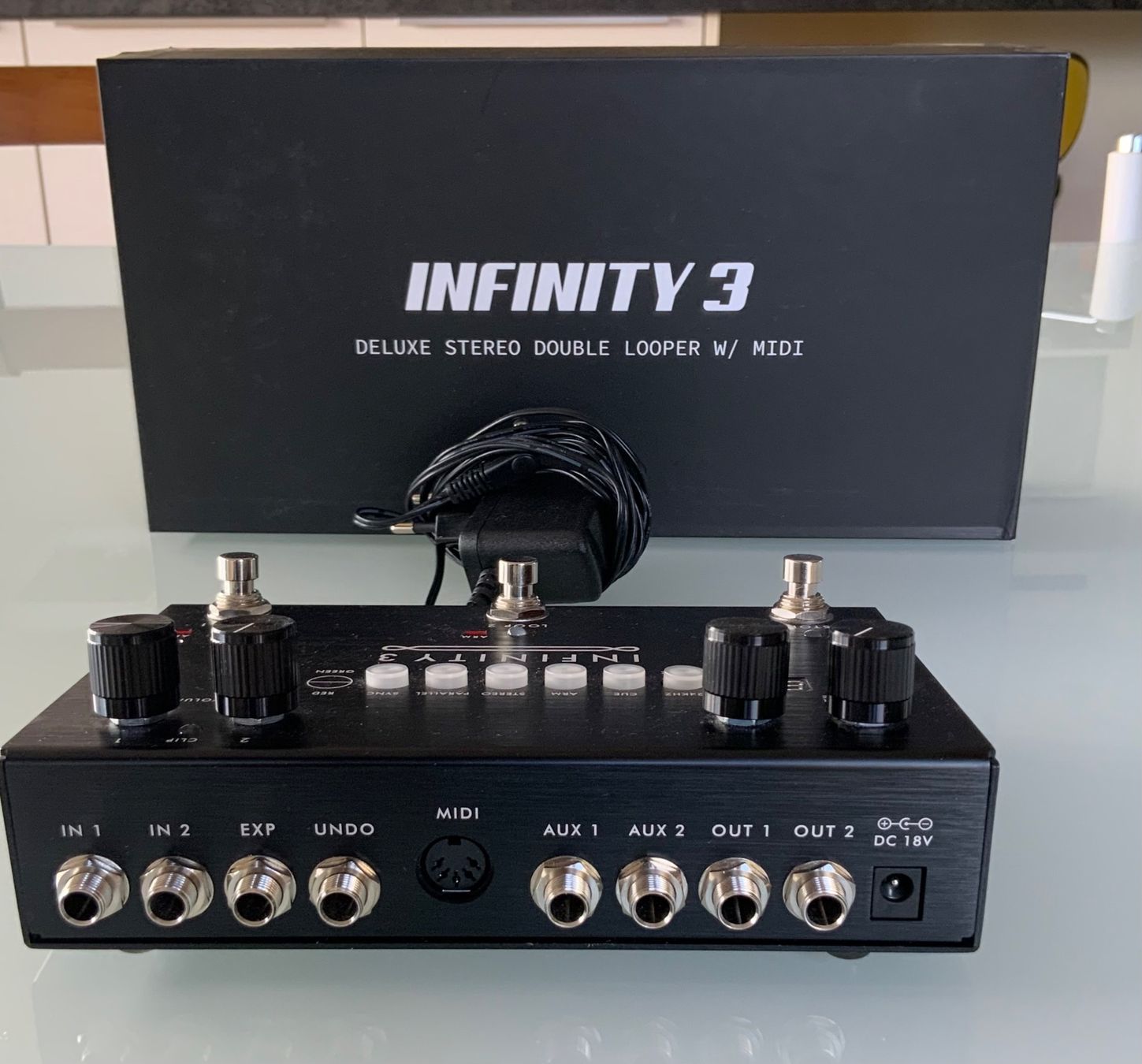 Strumenti musicali: PIGTRONIX INFINITY 3 Stereo Looper – Usato da Fruthwilen venduto da mturic 1