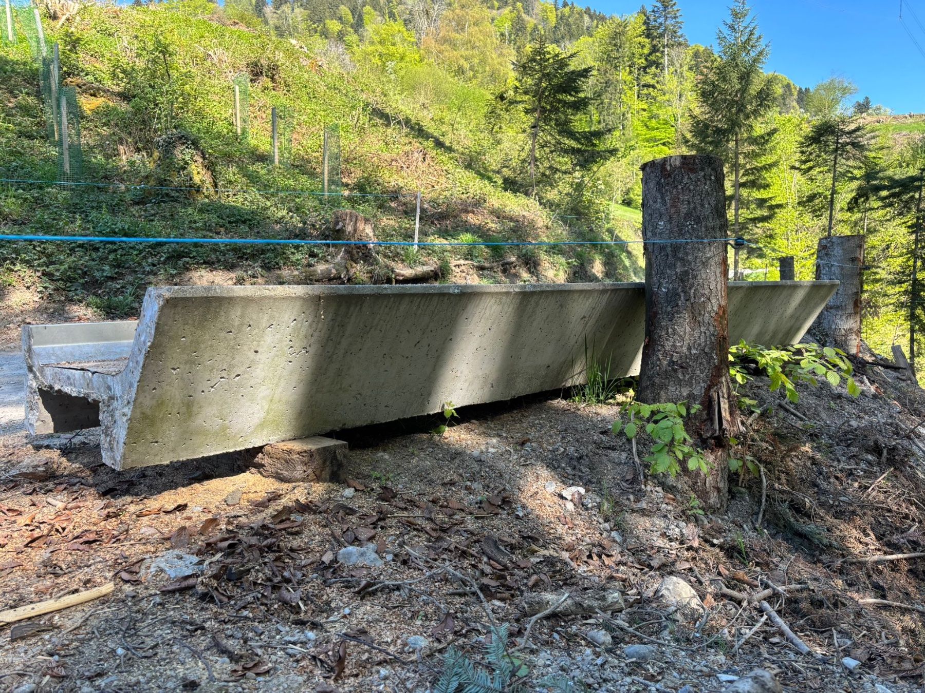 Mangimi: Futtertisch, Futterraufe, Futtertrog, Heu, Beton, Kuh – Usato da Wernetshausen venduto da Knaeckebrot 3