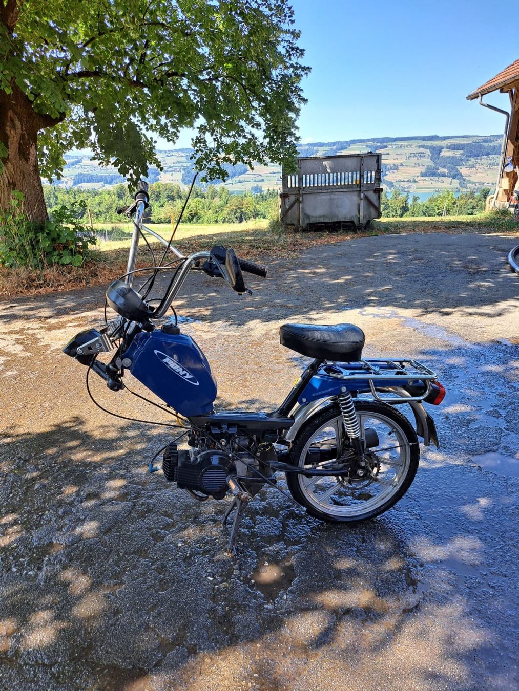 Pony Ciclomotori: Pony Gtx – Difettoso da Gelfingen venduto da Hase03