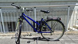 TDS E-Bike Ecoliner 700C Lady 48cm Blau Top Zustand