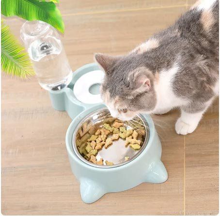 Teller: Katzen und Hundeteller – Neu und originalverpackt aus Liestal von OMAROSHOP 2