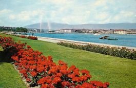 GENÈVE Le Quai Gustave Ador et la Ville
