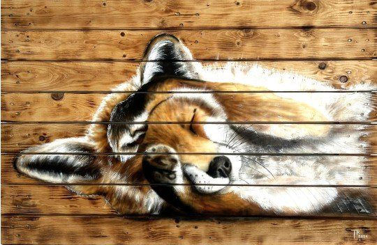 Tableaux: Fuchs Airbrush auf SBB Palette – D'occasion à Fläsch par Dergrenzer