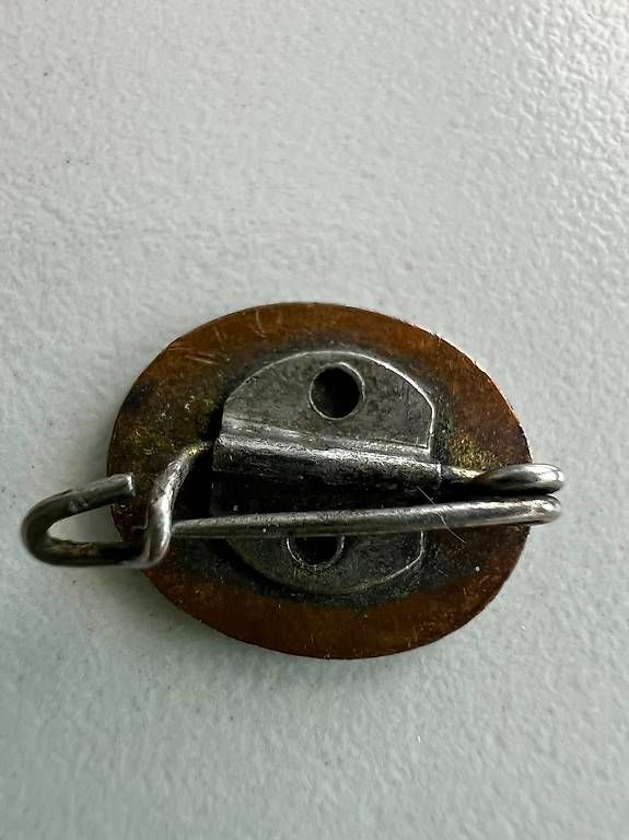 Placchette & Badge: DDR SED Anstecknadel emailliert Original Parteiabzeichen – Usato da Emmen venduto da mighu 1