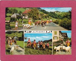Alpfahrt Ziegen Kühe 1979