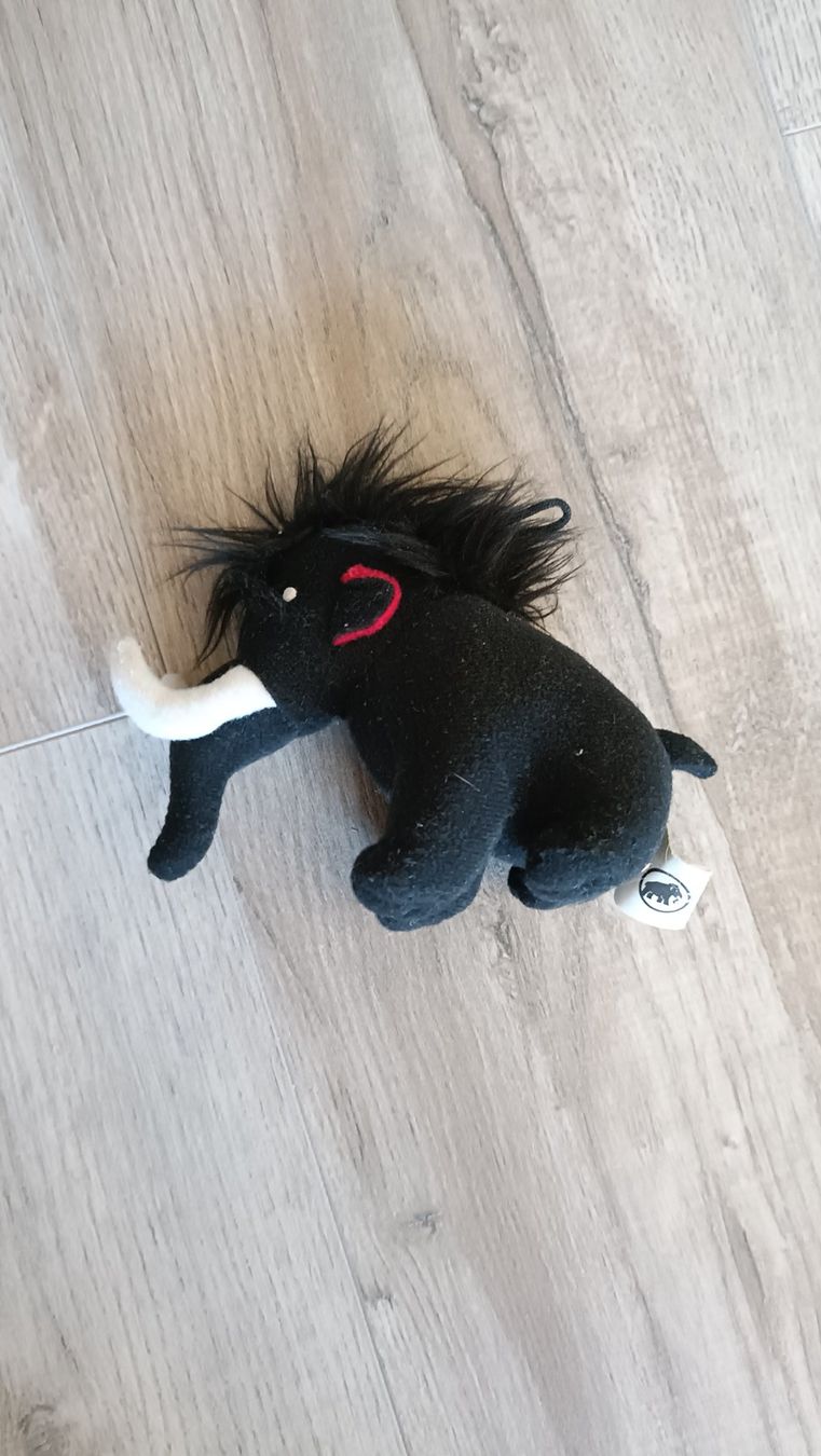 Mammut Borse & Zaini: Kinderrucksack von Mamut – Usato da Lampenberg venduto da Marcotin01 5