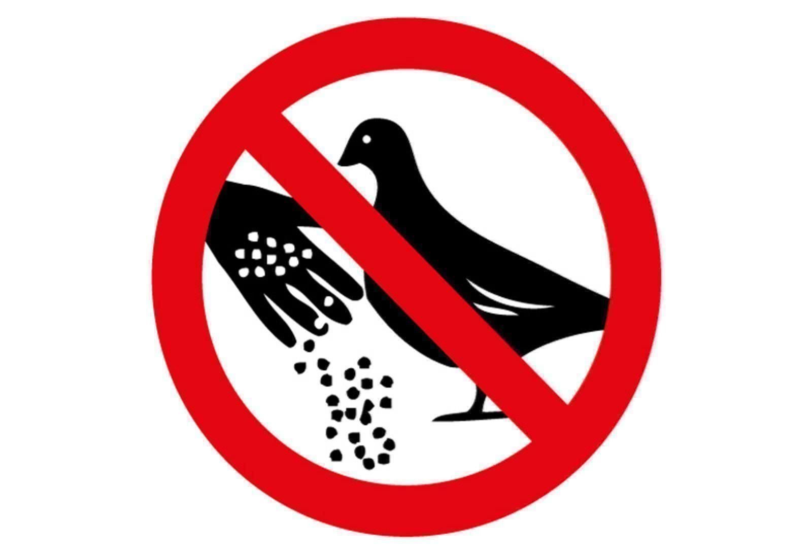 Insegne: Blechschild-TAUBEN FÜTTERN VERBOTEN – Nuovo e nell'imballaggio originale da Rupperswil venduto da big-one-sale