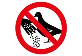 Blechschild-TAUBEN FÜTTERN VERBOTEN