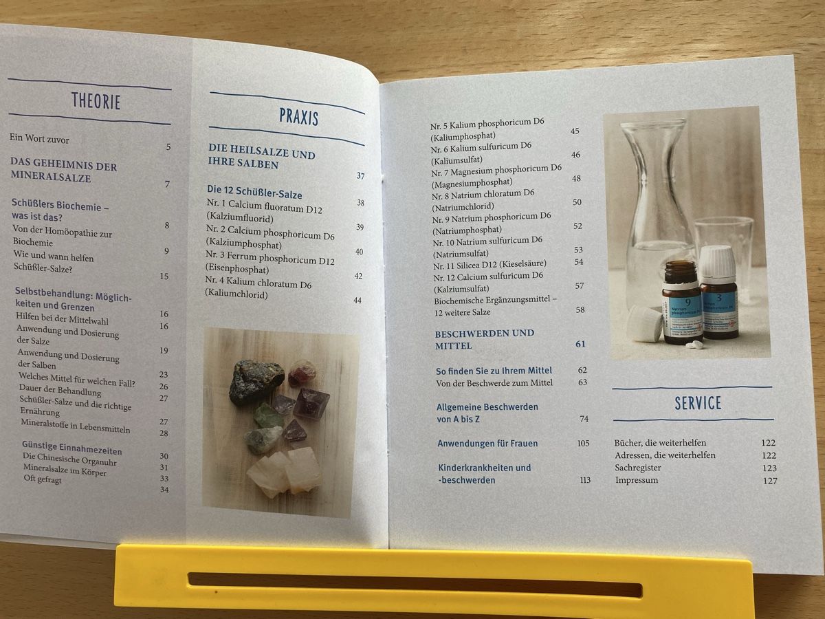 Libri: Schüssler-Salze Das Basisbuch - Günther H. Heepen – Usato da Schwarzenburg venduto da Michellu 6