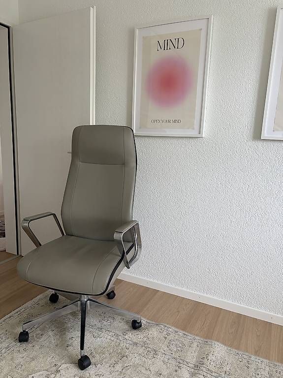Sedie: Ergonomischer Bürostuhl – Usato da Wallisellen venduto da ozi97 1
