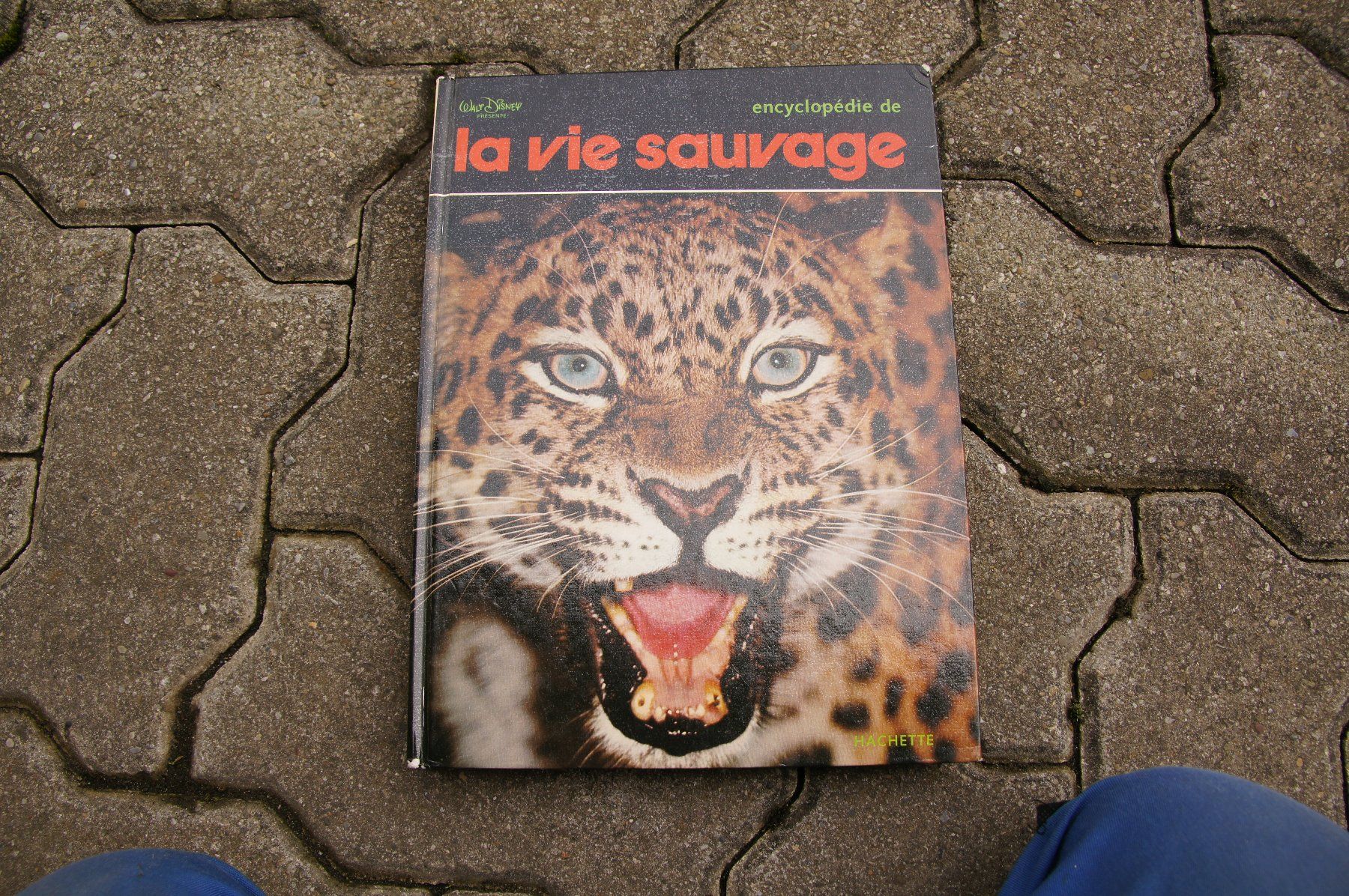 Libri: La vie sauvage – Usato da Sierre venduto da Erjou