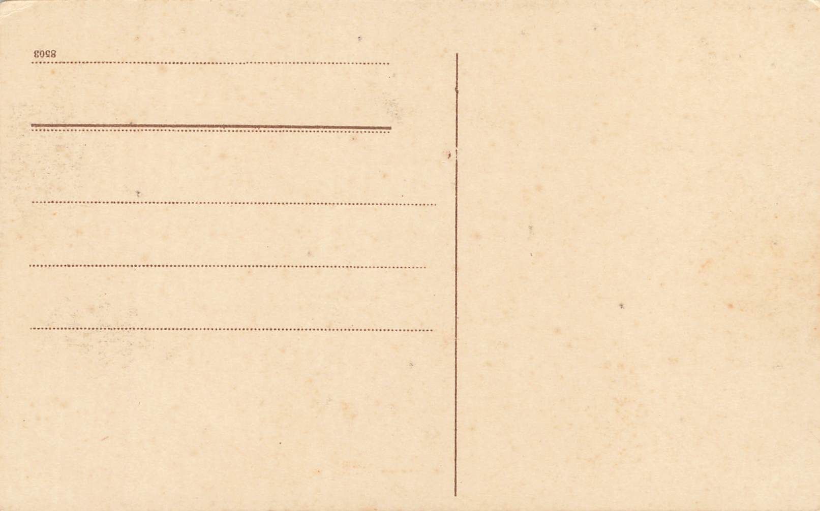Cartoline postali: Auf die rigi bei Luzern – Usato da Biasca venduto da Blenio71 1