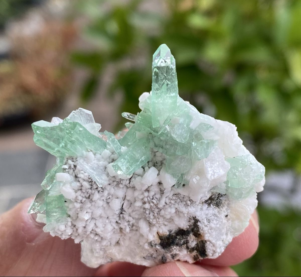 Mineralien & Heilsteine: Wunderschöne Apophyllit Stufe Indien  – Gebraucht aus Selzach von 321compac 8